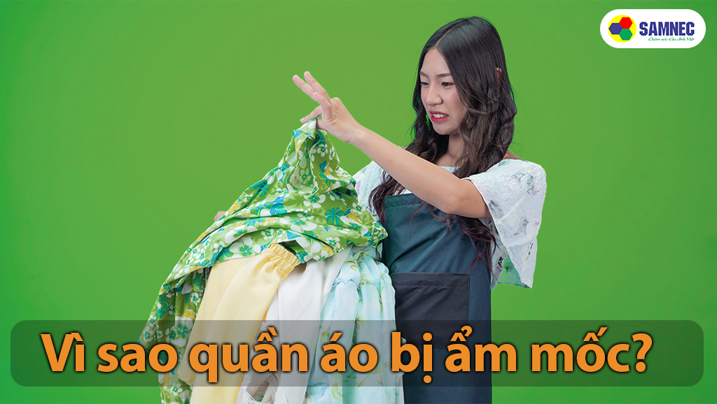 Vì sao quần áo bị ẩm mốc