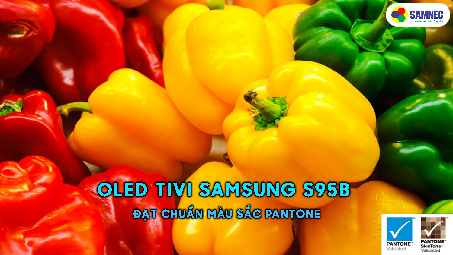 Bộ màu Chuan Patone trên tivi Samsung S95B