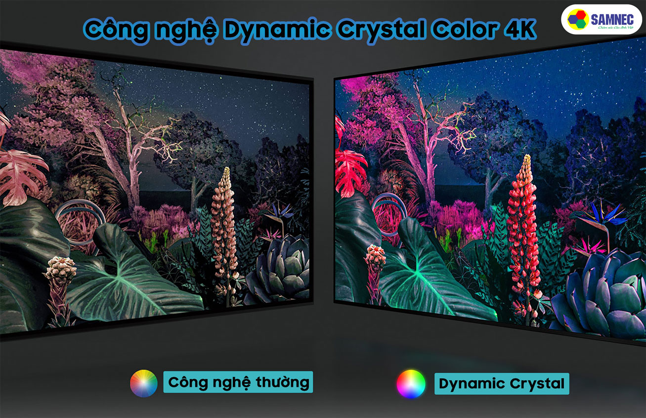 công nghệ màu sắc Dynamic Crystal Color trên tivi AU8100 khuyến mại