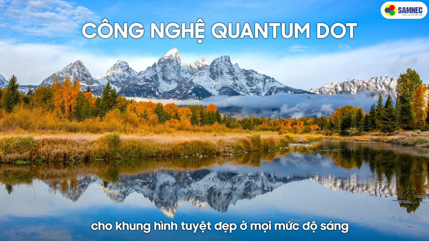 bộ vi xử lý Quantum Lite 4K trên tivi Samsung