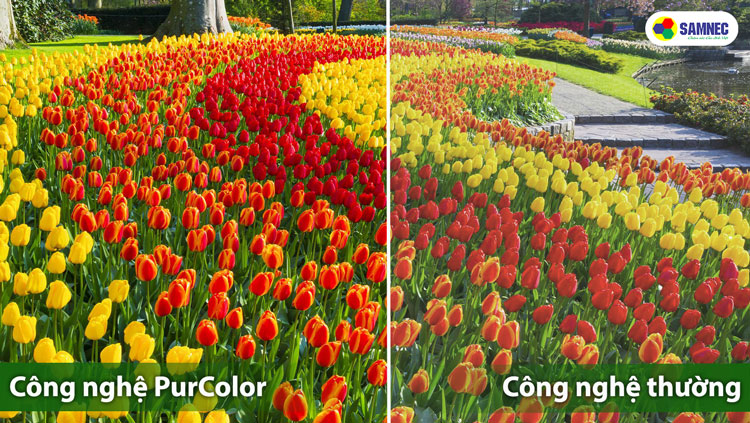 Công nghệ Purcolor trên tivi Samsung