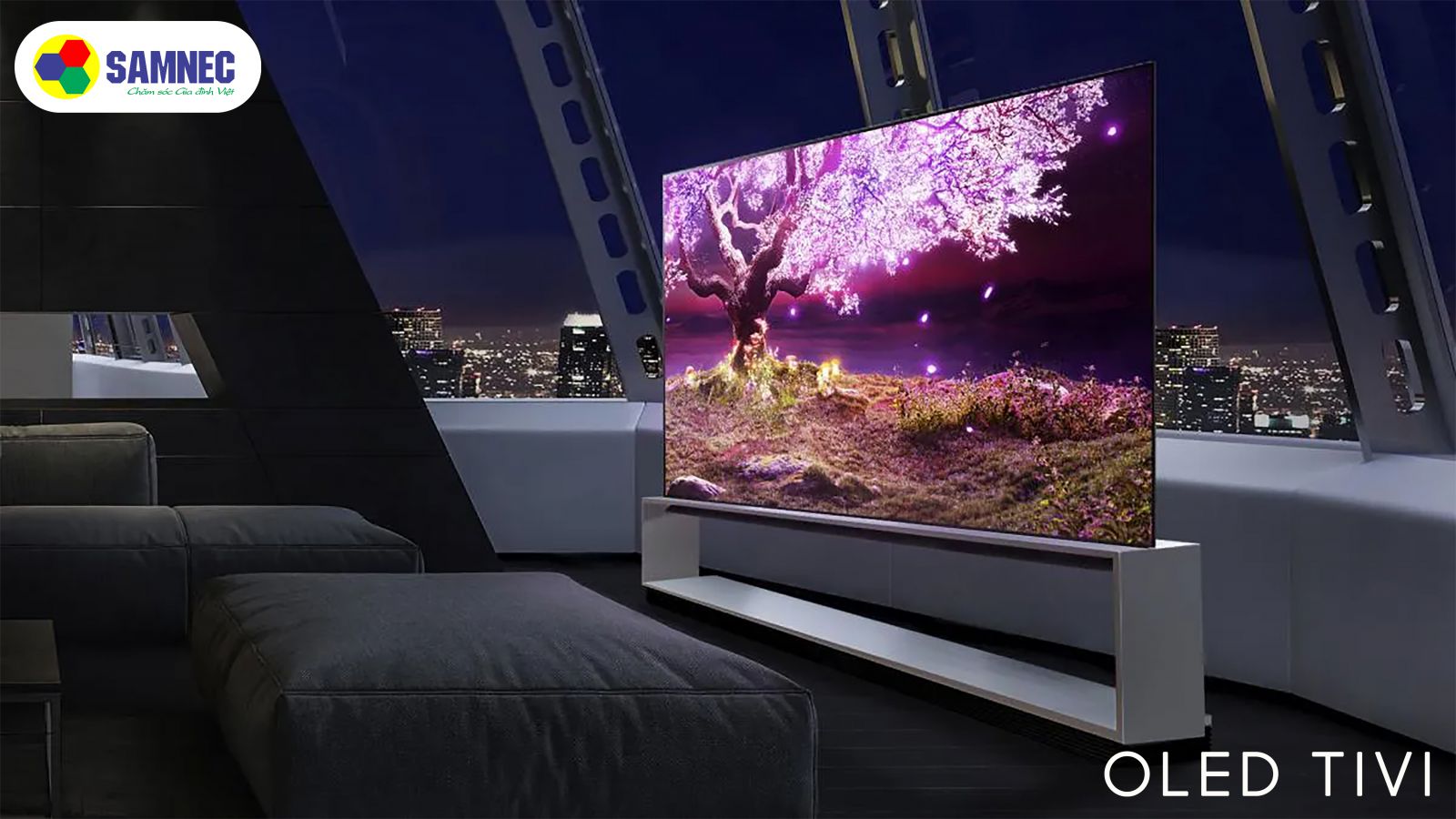 Tivi Oled khuyến mại valentine