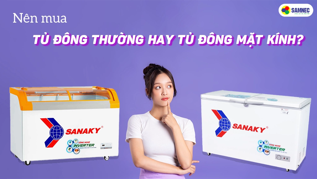 nên mua tủ đông thường hay tủ đông mặt kinh Sanaky