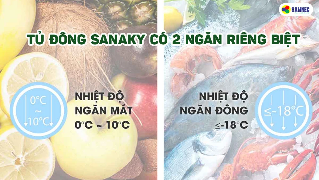 tủ đông sanaky 2 ngăn có nhiệt độ ngăn đông và ngăn mát khác nhau
