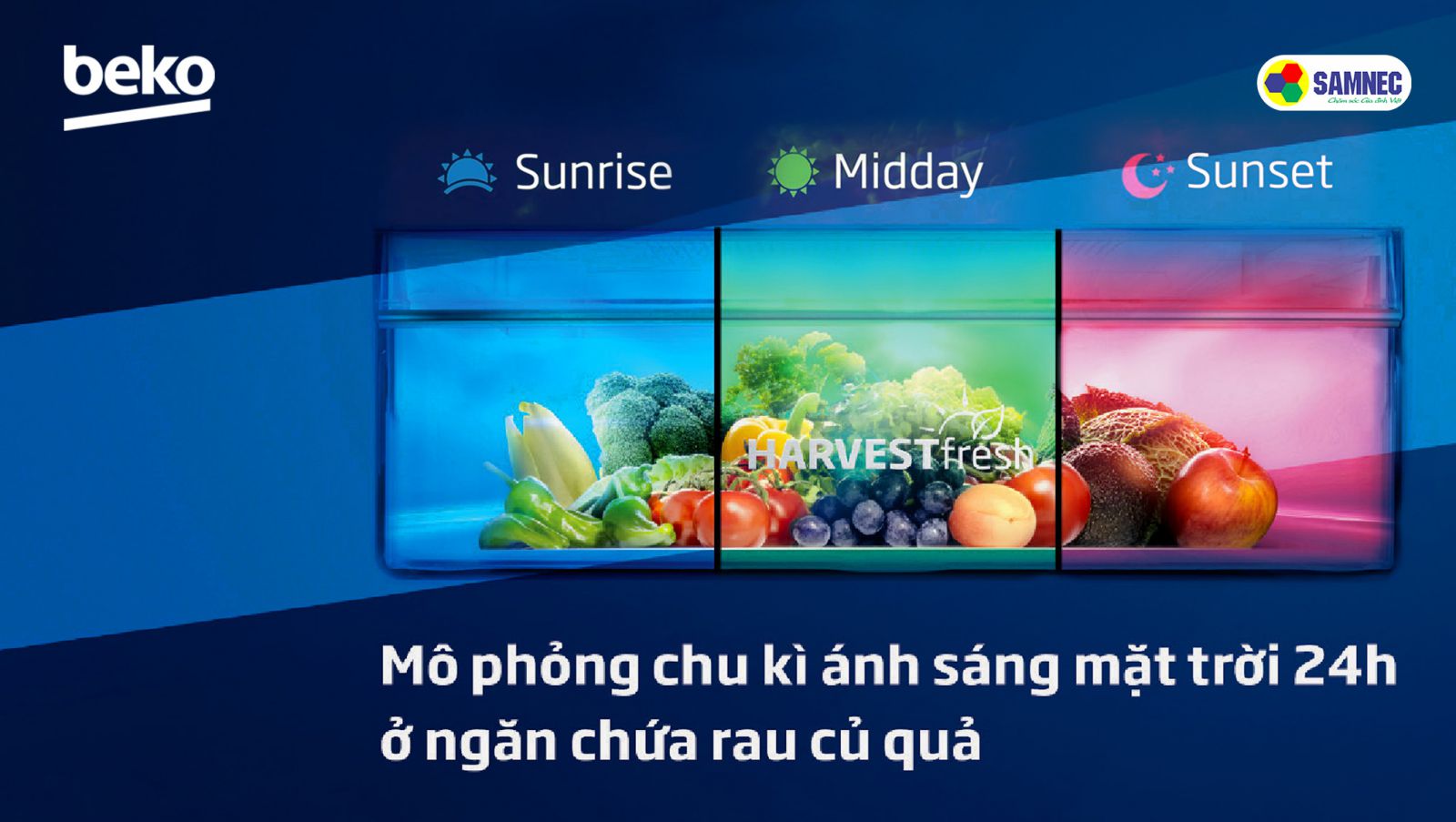 Tủ lạnh beko có thiết kế ánh sáng vi chất 3 màu như môi trường bên ngoài