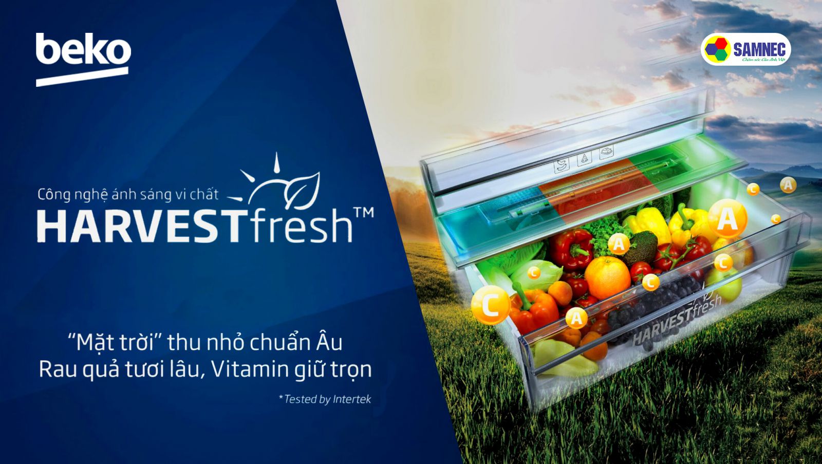 Thế nào là công nghệ Harvest Fresh?