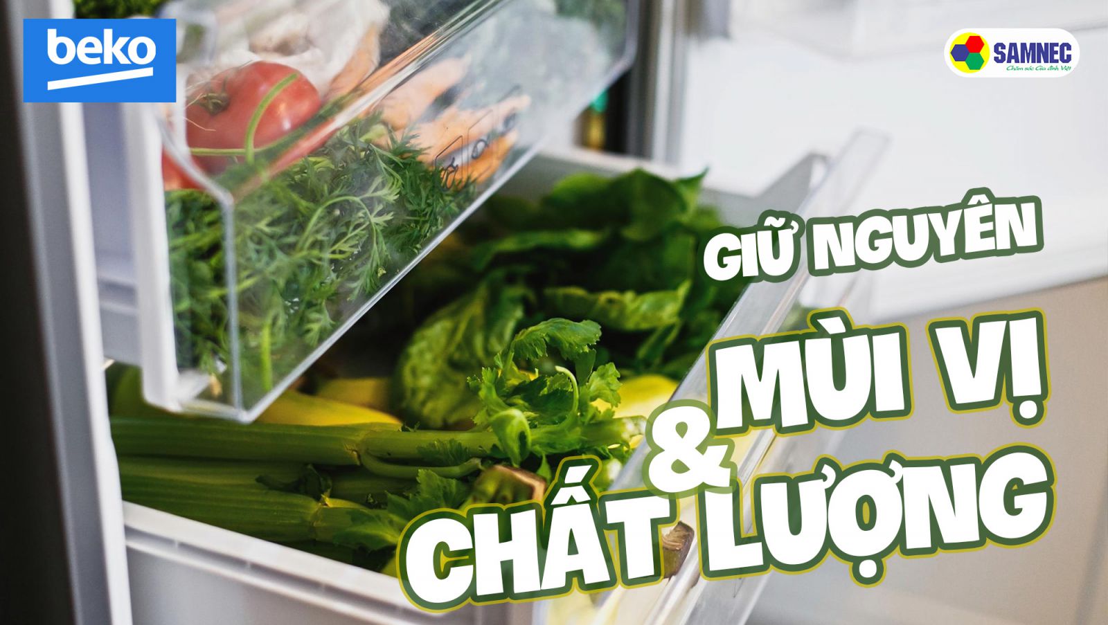 Ngăn đông mềm trên tủ lạnh Beko giúp thực phẩm giữ nguyên vị và chất lượng