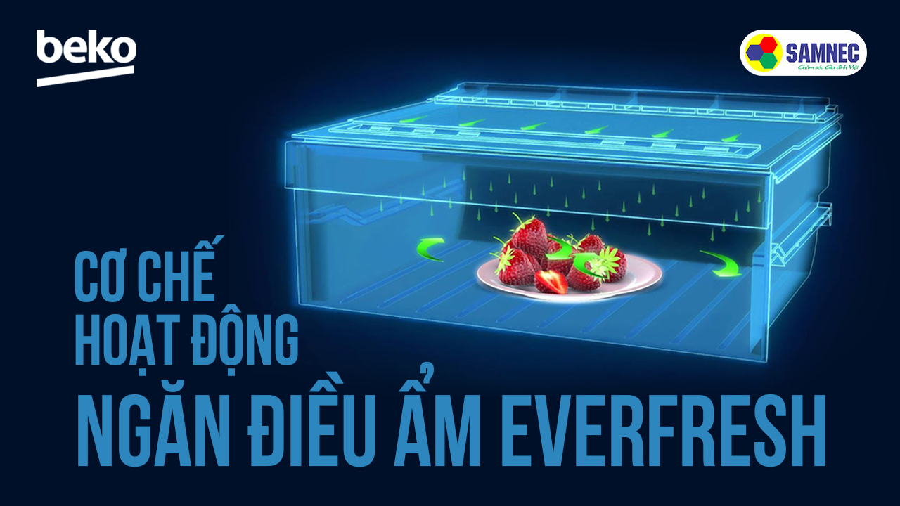 Cơ chế hoạt động của ngăn điều ẩm EverFresh trên tủ lạnh Beko