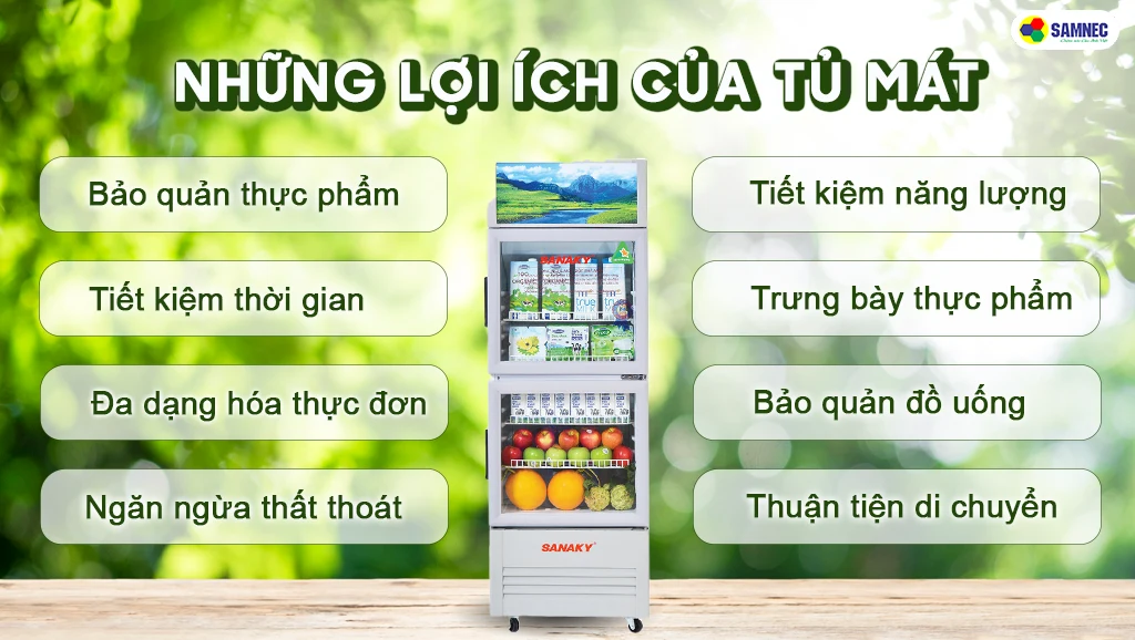 Những lợi ích của tủ mát đối với cuộc sống