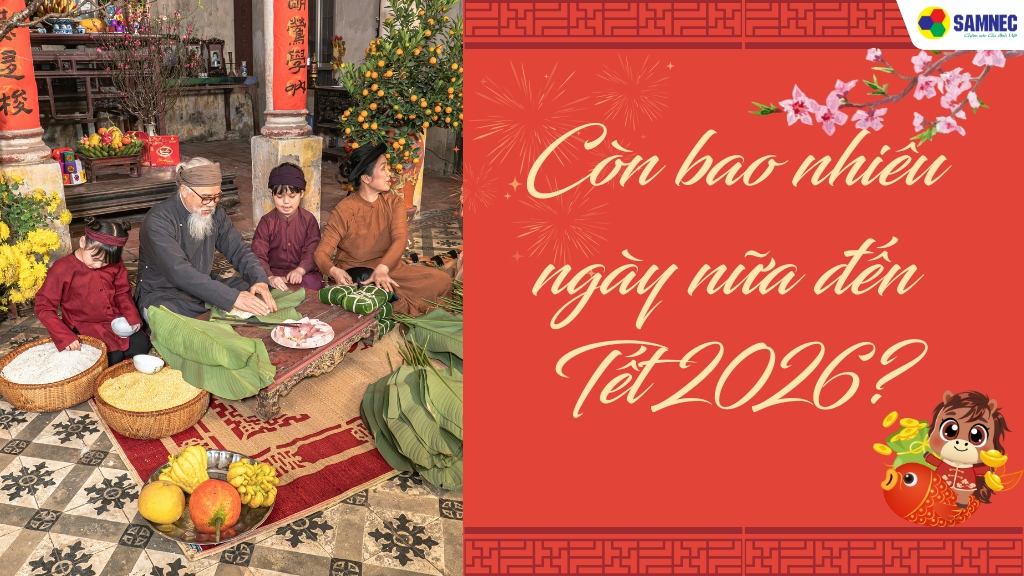 Đếm ngược còn bao nhiêu ngày nữa đến Tết Bính Ngọ 2026