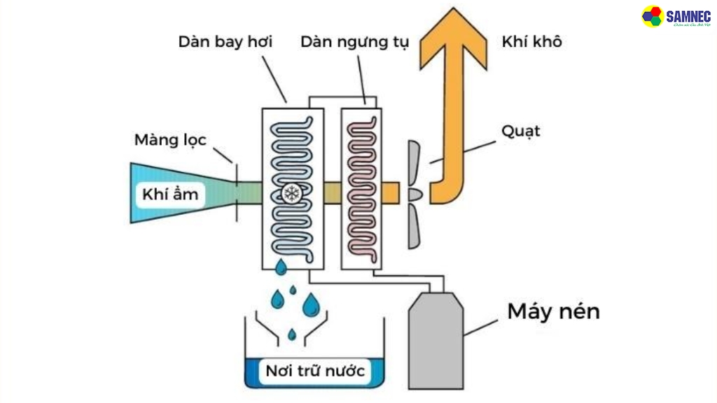 Máy hút ẩm dạng ngưng tụ
