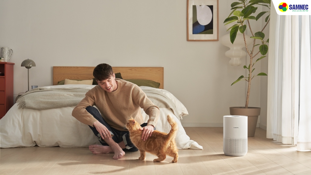 Trường hợp nên mua máy lọc không khí