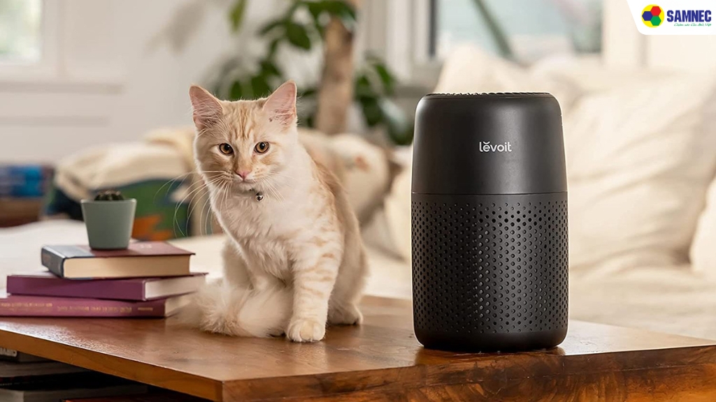 mua máy lọc không khí trước Tết