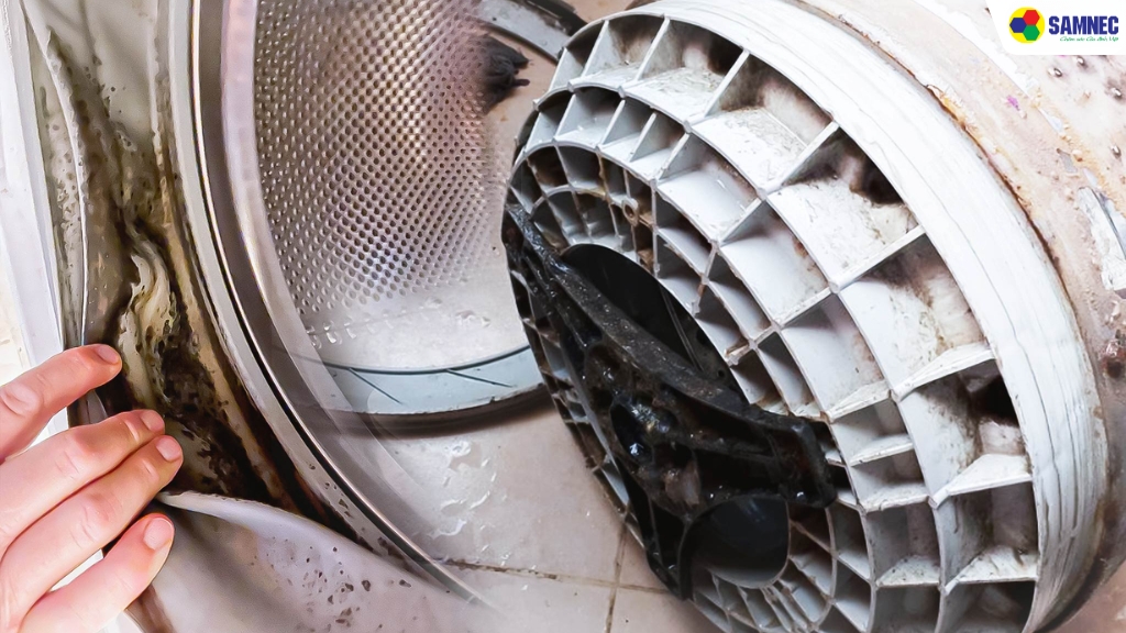 Tác hại của việc không vệ sinh máy giặt