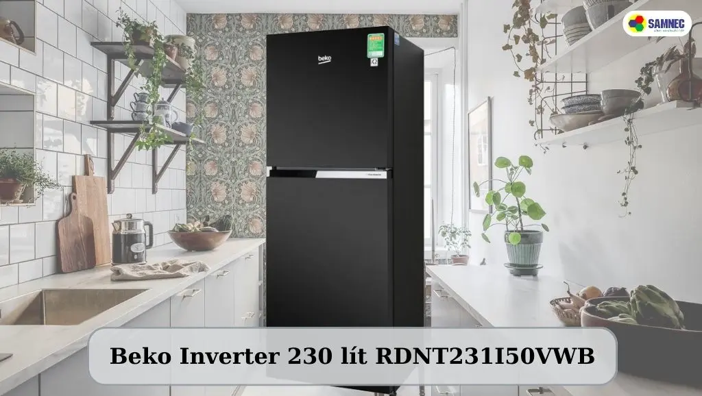 Tủ lạnh Beko Inverter 230 lít RDNT231I50VWB