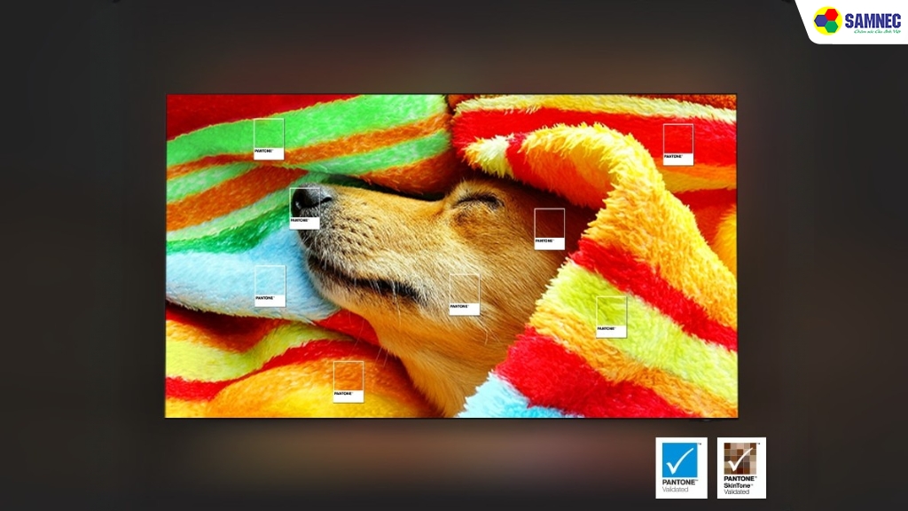 Tivi 4K QA85Q7FAAKXXV đạt chứng nhận PANTONE 