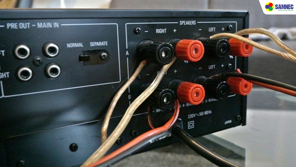 Dây kết nối giữa loa và amply bị lỏng hoặc hư hỏng