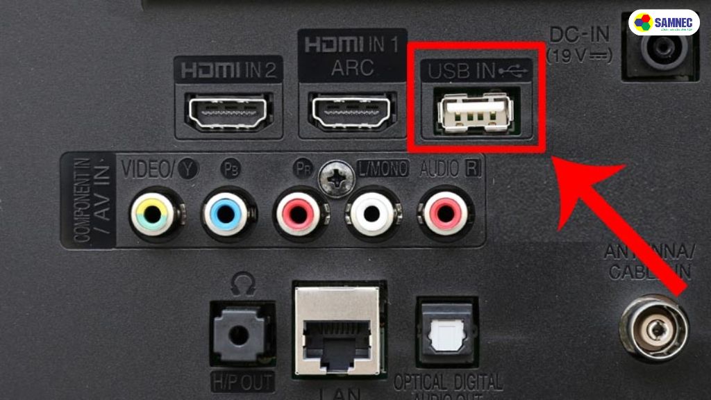 Cổng nhận tín hiệu tivi