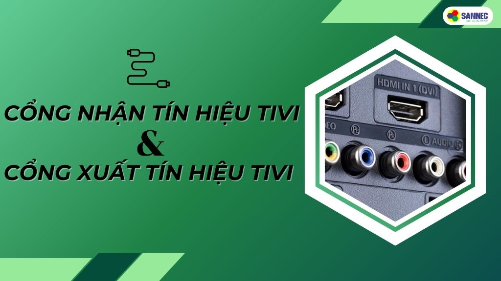 Mách bạn cách nhận biết cổng nhận tín hiệu và cổng xuất tín hiệu tivi cực dễ