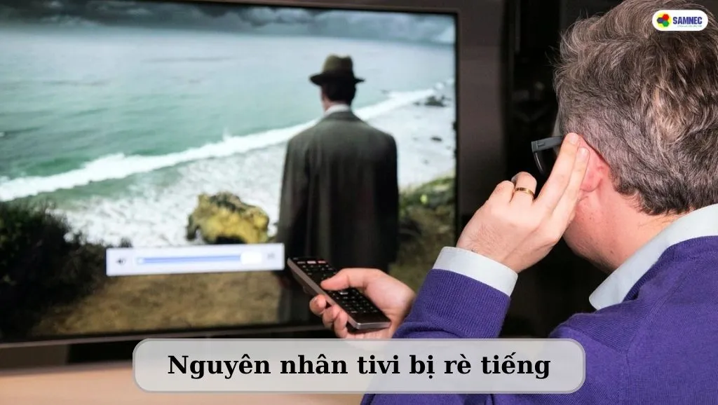 Nguyên nhân tivi bị rè tiếng