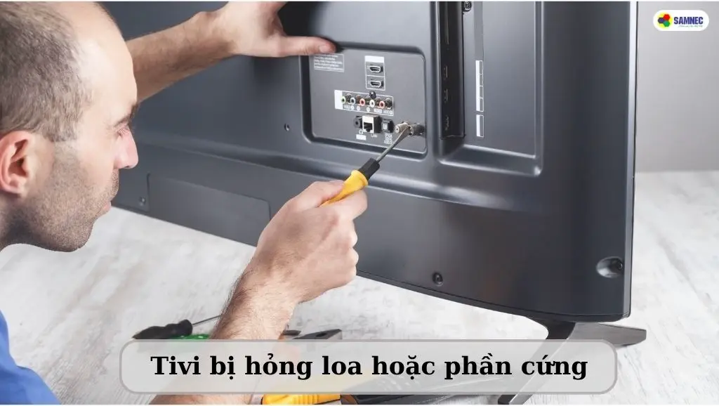 Làm Thế Nào Khi Tivi Bị Rè Tiếng?