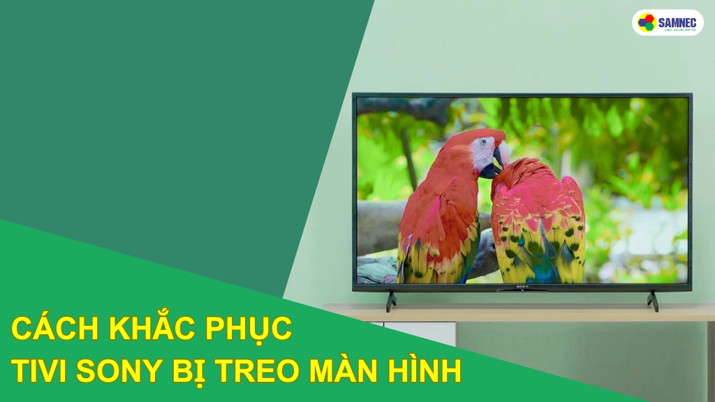 tivi sony bị treo màn hình