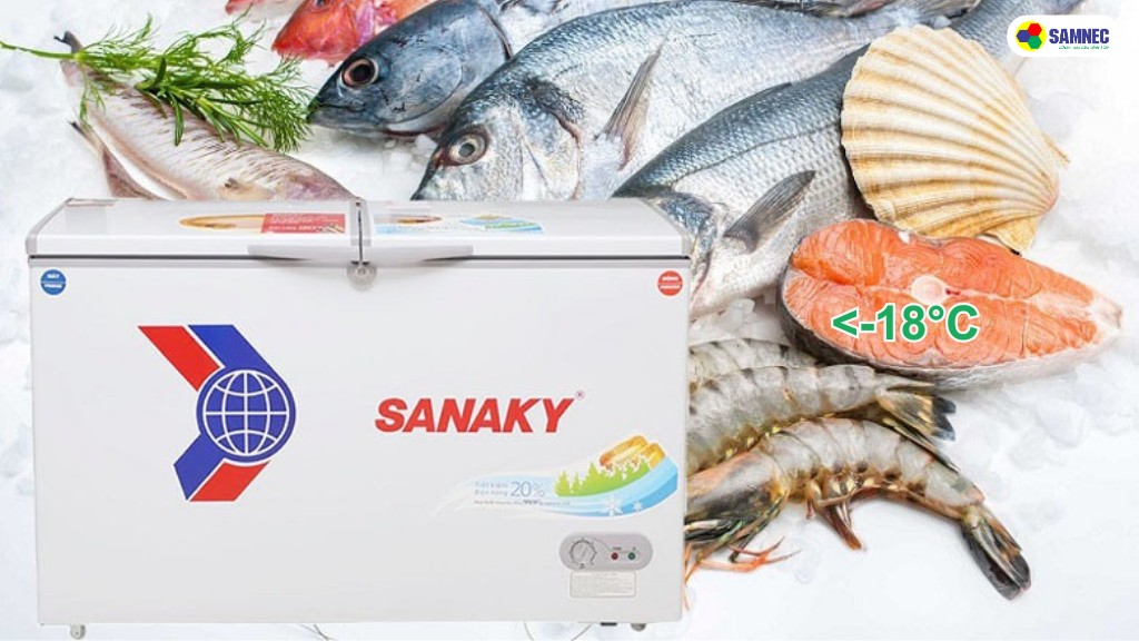 nhiệt độ tủ đông là bao nhiêu thì tốt nhất
