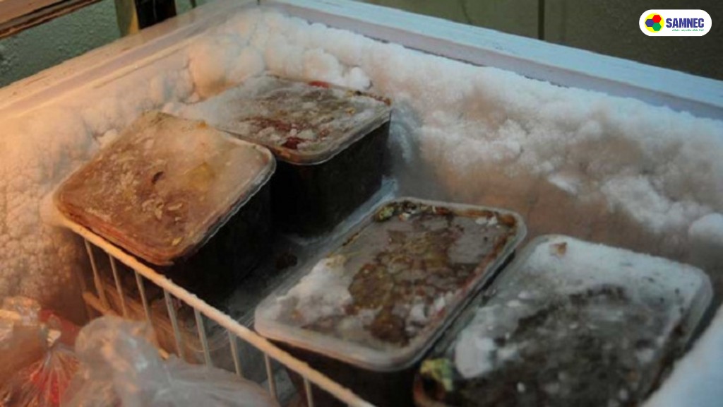 Bảo quản thực phẩm có độ ẩm cao trong tủ đông