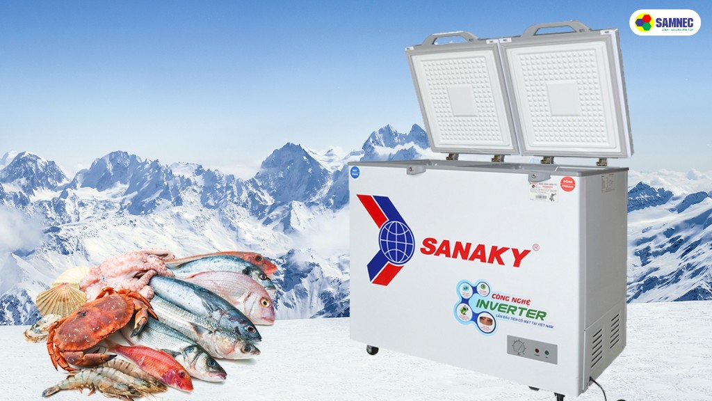 Lựa chọn tủ đông Sanaky Inverter