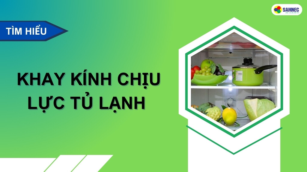 khay kính chịu lực tủ lạnh là gì