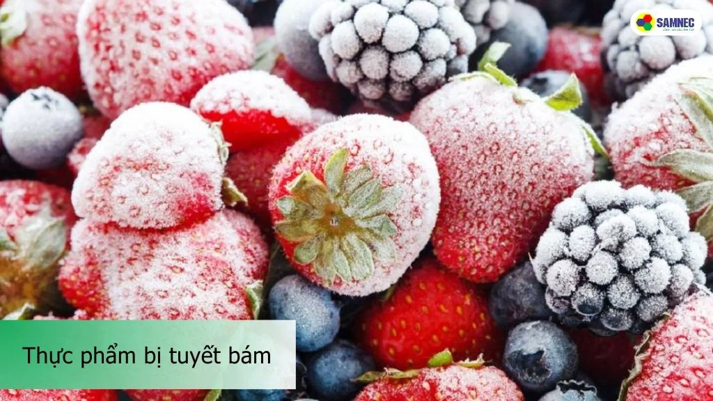 cách nhận biết khi tủ lạnh bị đóng tuyết