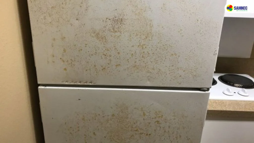 chất lượng lớp sơn bảo vệ giảm theo thời gian