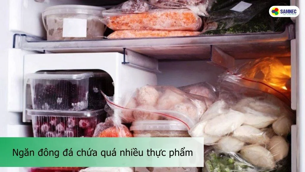 ngăn đông đá chứa nhiều thực phẩm