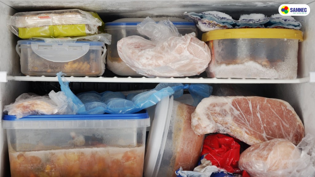 Vì sao cần vệ sinh ngăn đá tủ lạnh