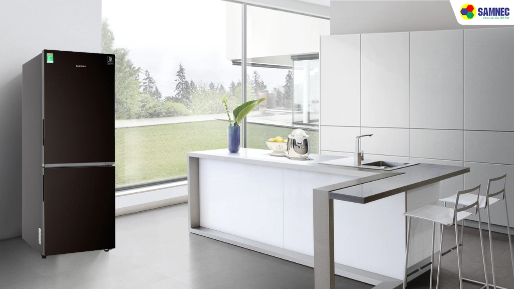 Tổng quan về tủ lạnh Samsung Inverter 280 lít RB27N4010BU SV