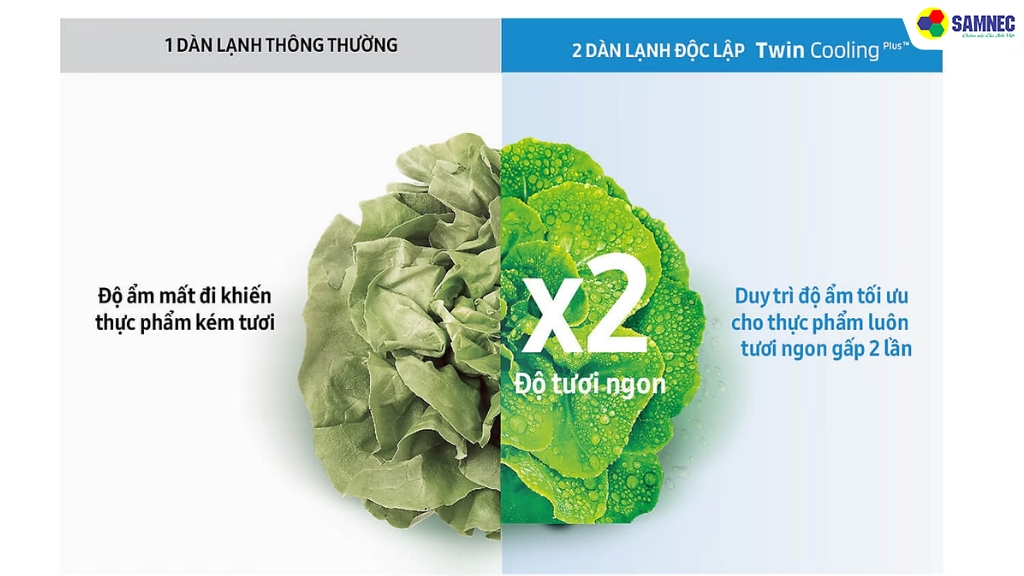 Giữ độ tươi ngon thực phẩm lâu hơn gấp 2 lần