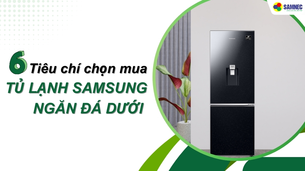 Bật mí 6 tiêu chí chọn mua tủ lạnh Samsung ngăn đá dưới bạn nên biết