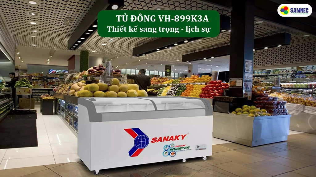 Thiết kế tủ đông Sanaky VH-899K3A