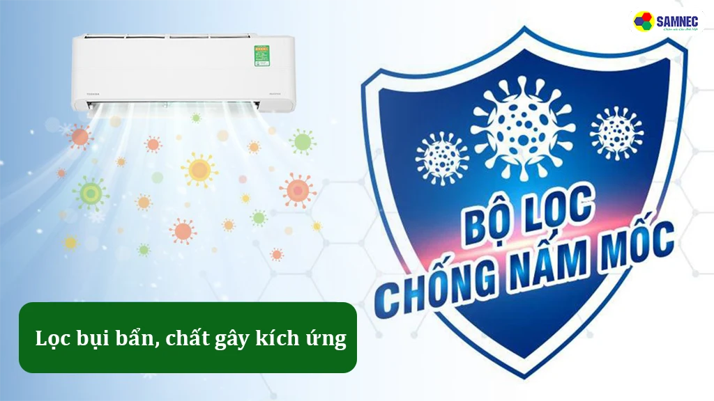 chống nấm mốc