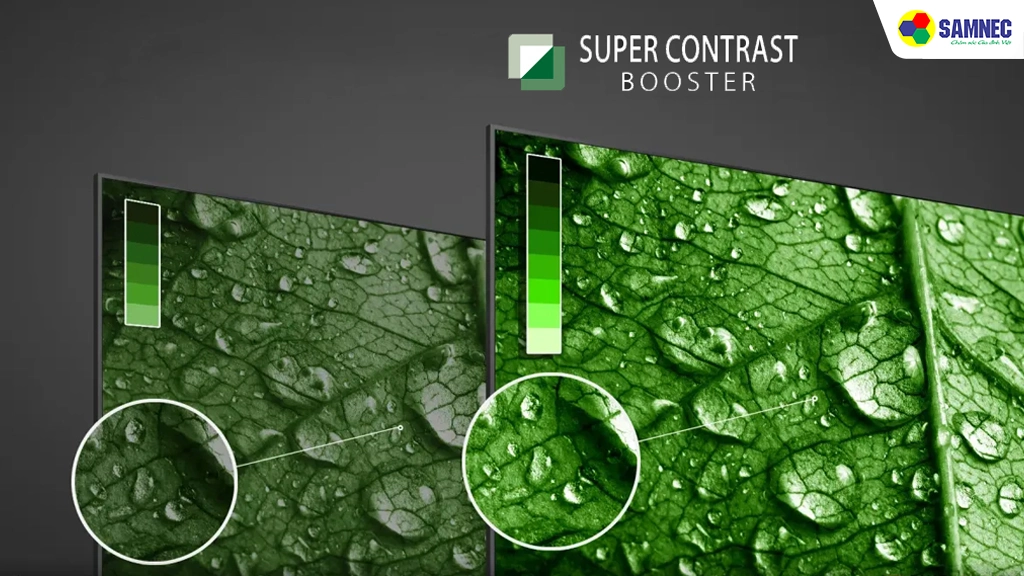 Smart Tivi AI 4K 55 inch Toshiba 55E330MP- công nghệ hình ảnh