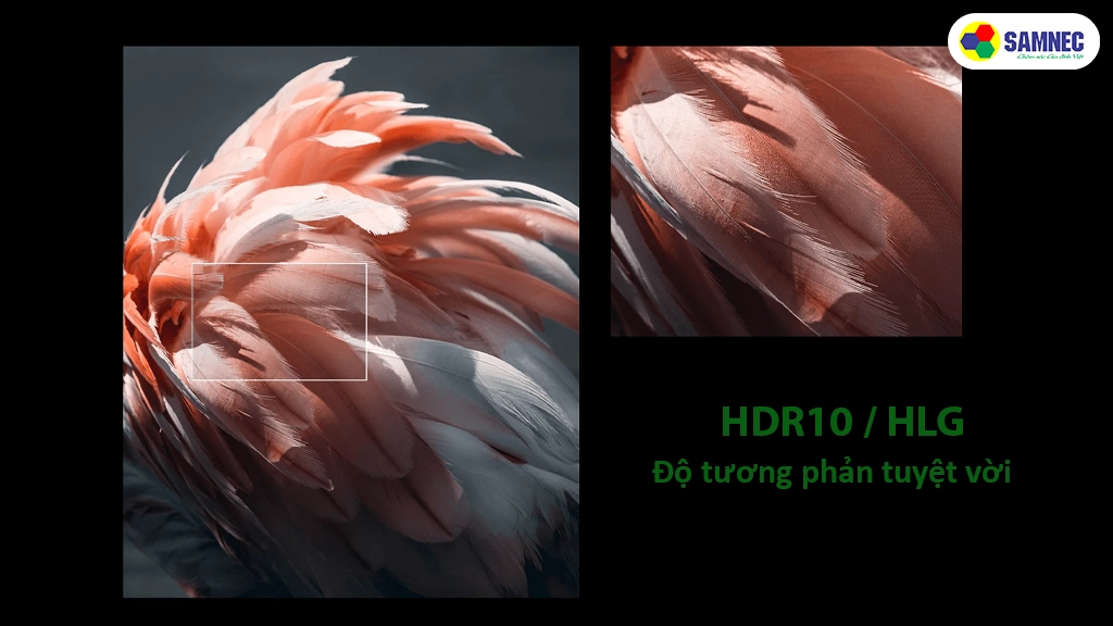 Google Tivi 55 inch Xiaomi A 4K L55MA-ASEA- Công nghệ hình ảnh