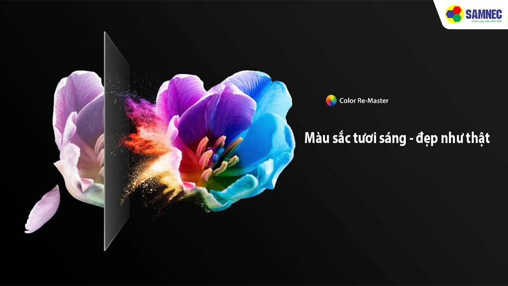 Smart Tivi QLED 4K 43 inch Toshiba 43M450NP- Công nghệ hình ảnh