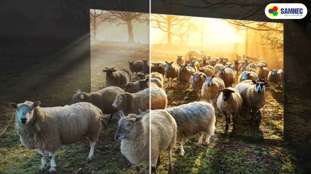 Smart Tivi Samsung 98 inch NEO QLED 8K QA98QN990CKXXV- Công nghệ hình ảnh