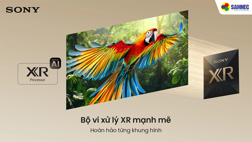 Sony Google TV True RGB BRAVIA 7 II K-98XR70M2- Bộ xử lý