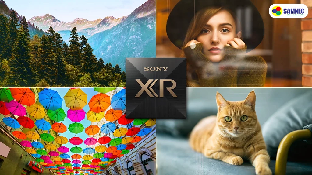 Google Tivi OLED 4K 55 inch Sony K-55XR80- bộ xử lý