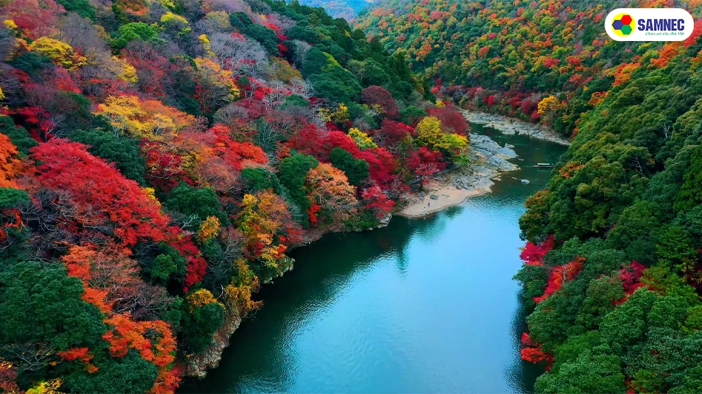 Google Tivi OLED 4K 65 inch Sony K-65XR80- công nghệ hình ảnh