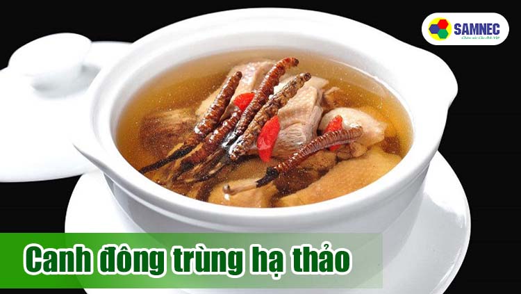 Canh đông trùng hạ thảo bổ dưỡng