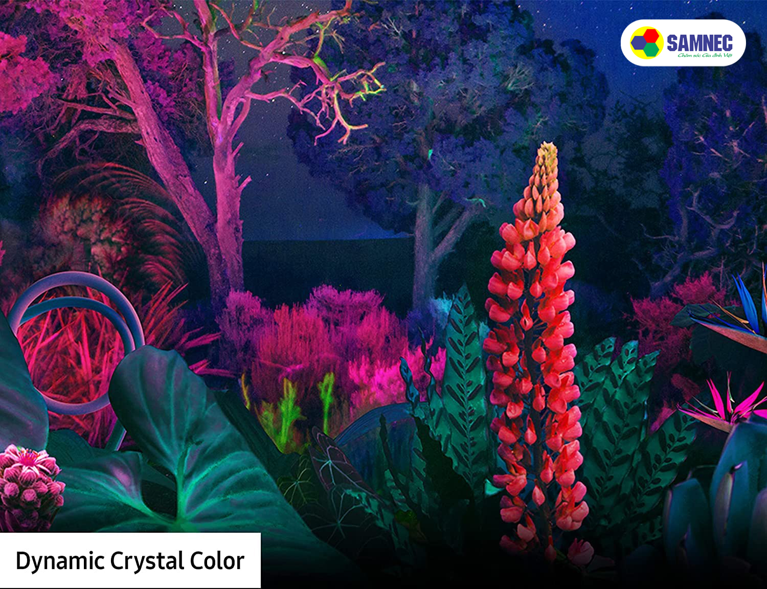 Dynamic Crystal Color