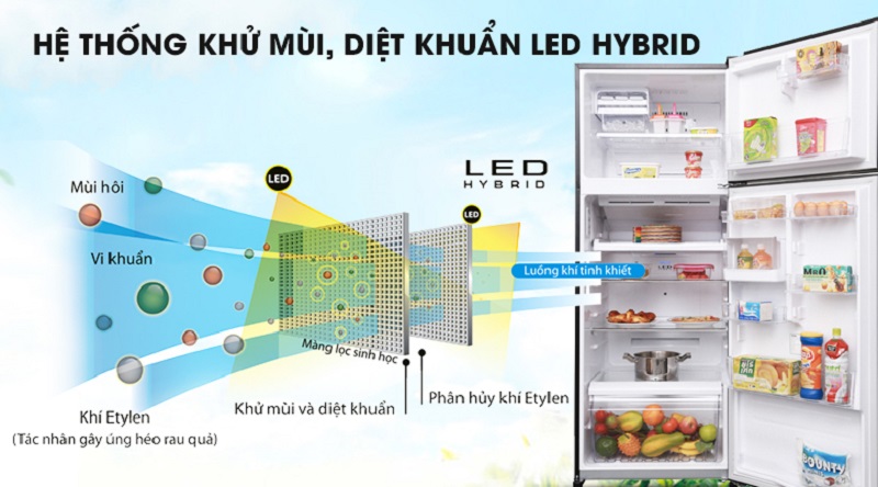 Công nghệ Led Hybrid kháng khuẩn, khử mùi hiệu quả - Tủ lạnh Toshiba Inverter 409 lít GR-AG46VPDZ XK1