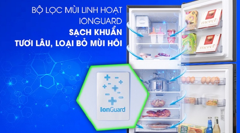 Công nghệ Ion guard - Tủ lạnh Beko Inverter 420 lít RDNT470E50VZJGB